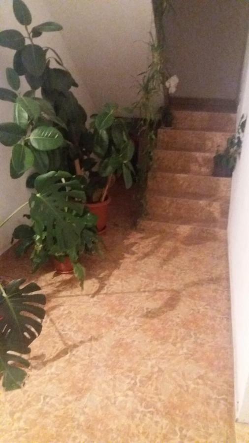Pensiunea Miesca Matisesti Exteriör bild