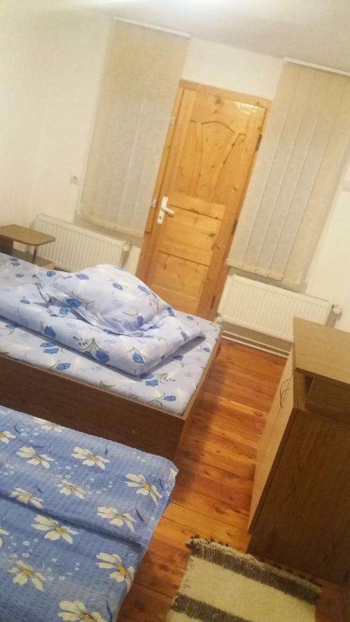 Pensiunea Miesca Matisesti Exteriör bild